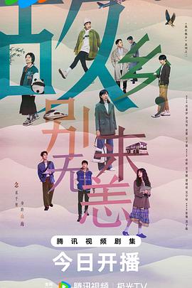 滁州seo优化排名需要多少钱